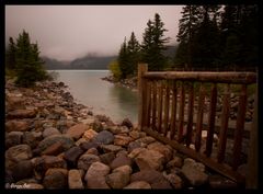 Am Lake Louise IV