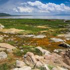 Am Lake Manyara 1