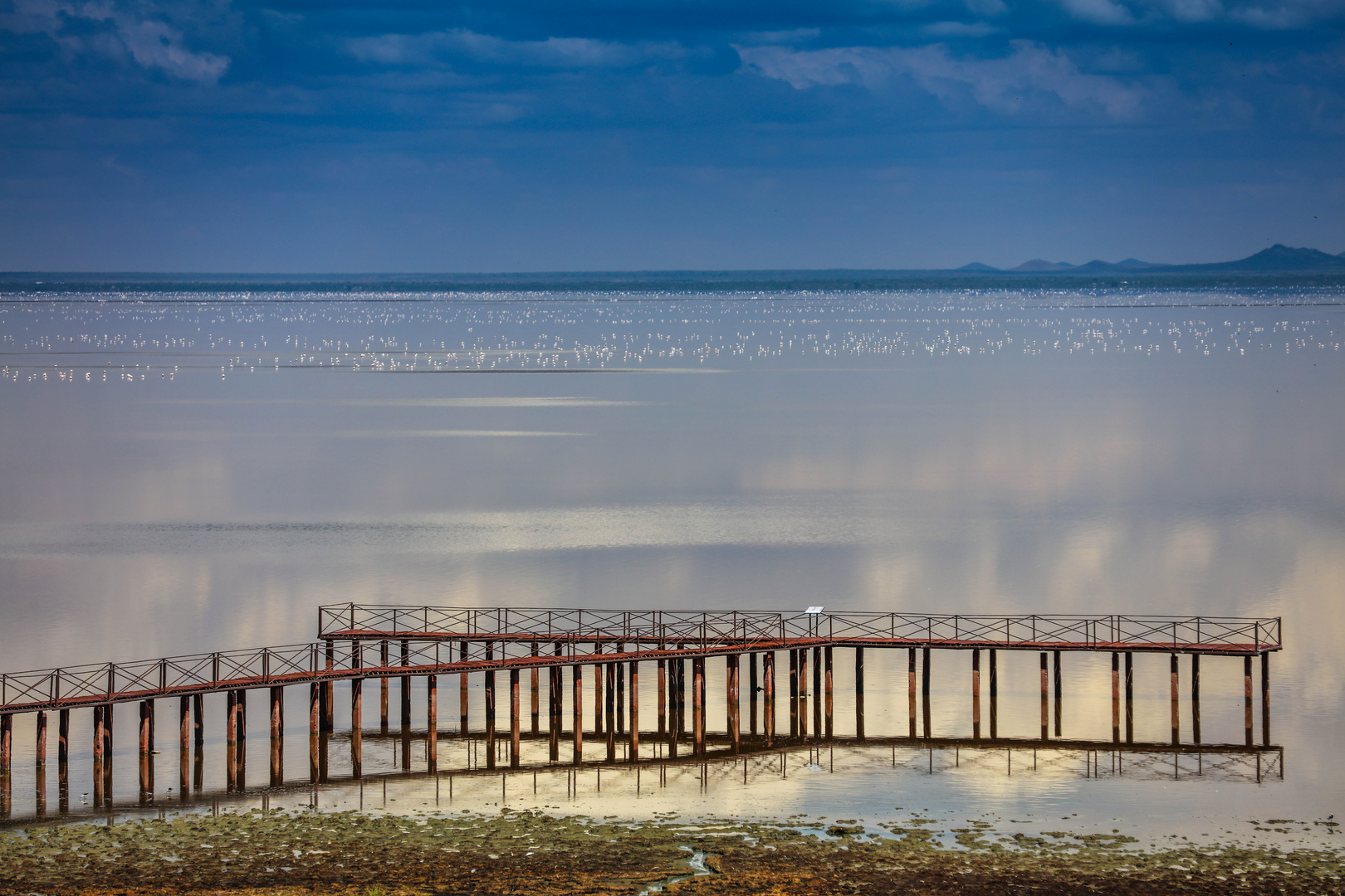 Am Lake Manyara 11