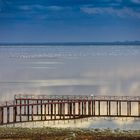 Am Lake Manyara 11