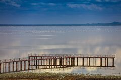 Am Lake Manyara 11