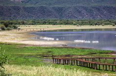 Am Lake Manyara 12