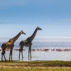 Am Lake Manyara 16