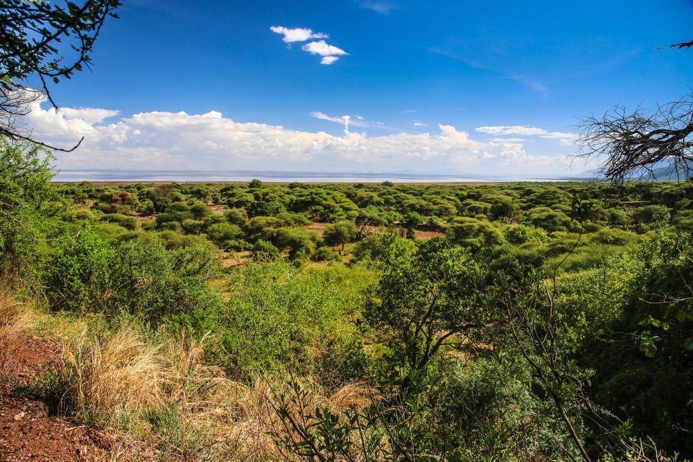 Am Lake Manyara 18