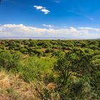 Am Lake Manyara 18