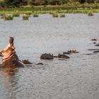 Am Lake Manyara 23