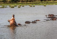 Am Lake Manyara 23