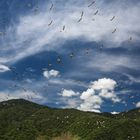 Am Lake Manyara 6