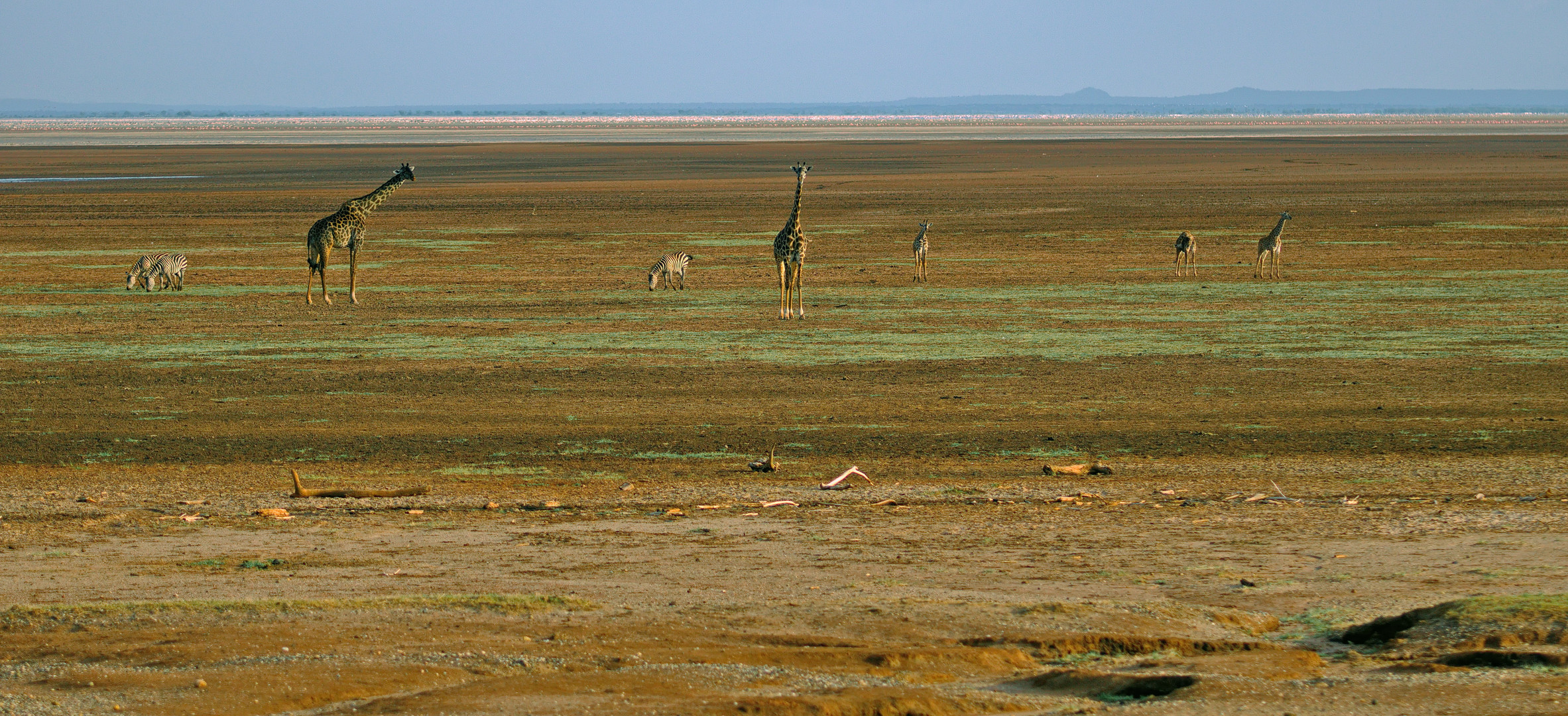 Am Lake Manyara