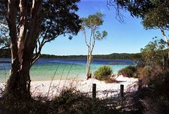 am Lake McKenzie auf Fraser Island Australien