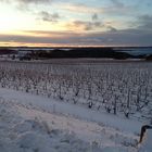 am Lake Michigan, nahe Traverse City