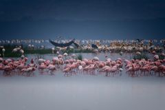 Am Lake Nakuru