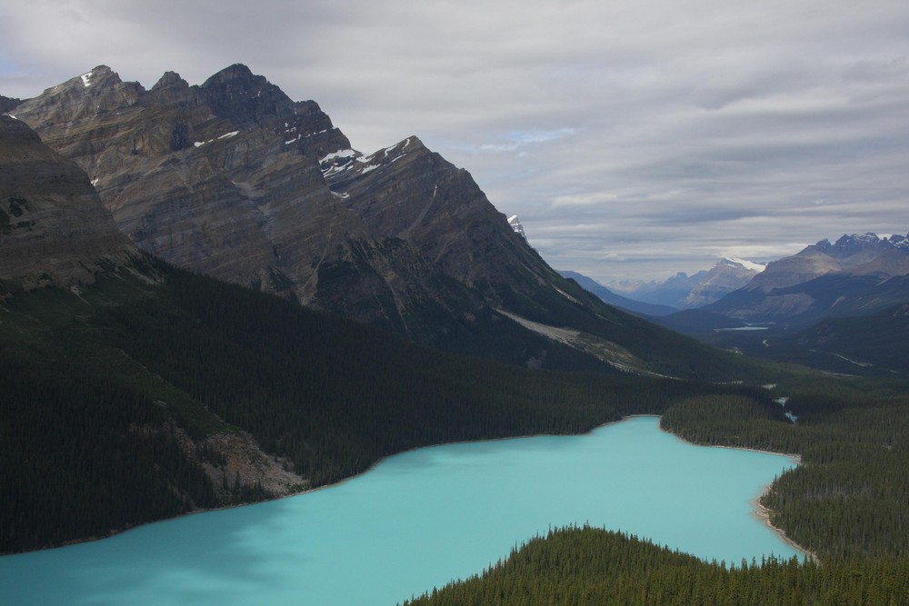 Am Lake Peyto im Banff National Park