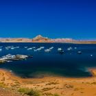 Am Lake Powell