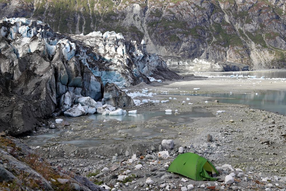 Am Lamplugh Gletscher, Alaska