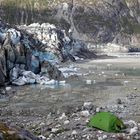 Am Lamplugh Gletscher, Alaska