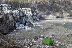 Am Lamplugh Gletscher, Alaska