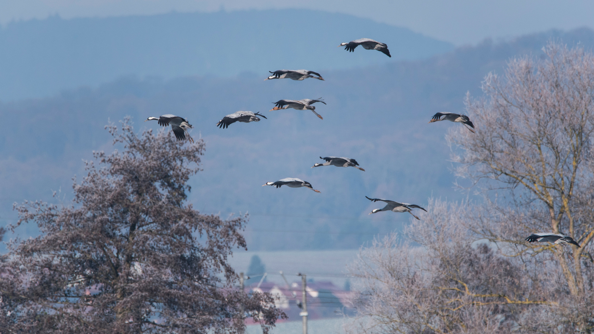 Am Landeanflug