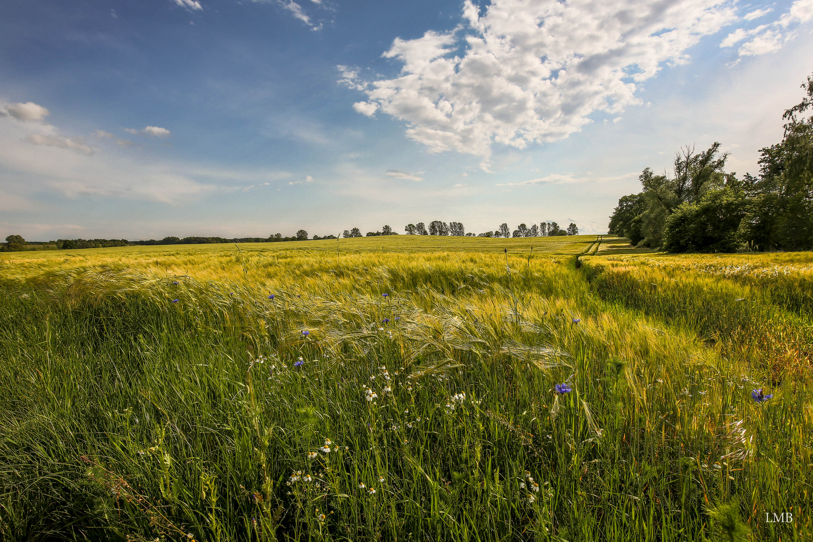 Am Landmaschinenweg