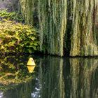 am Landwehrkanal in Berlin