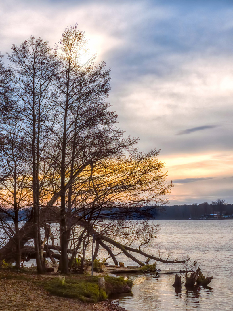 Am langen See