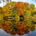 Am langen Teich