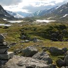 am Langevatnet, Blick n. Westen an der 258 zw. Videsaeter u. Grotli (nordöstlich Jostedalsbreen)