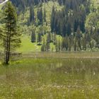 Am Lauenensee