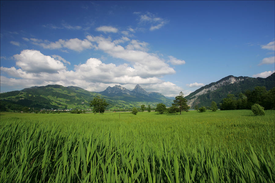 am Lauerzersee