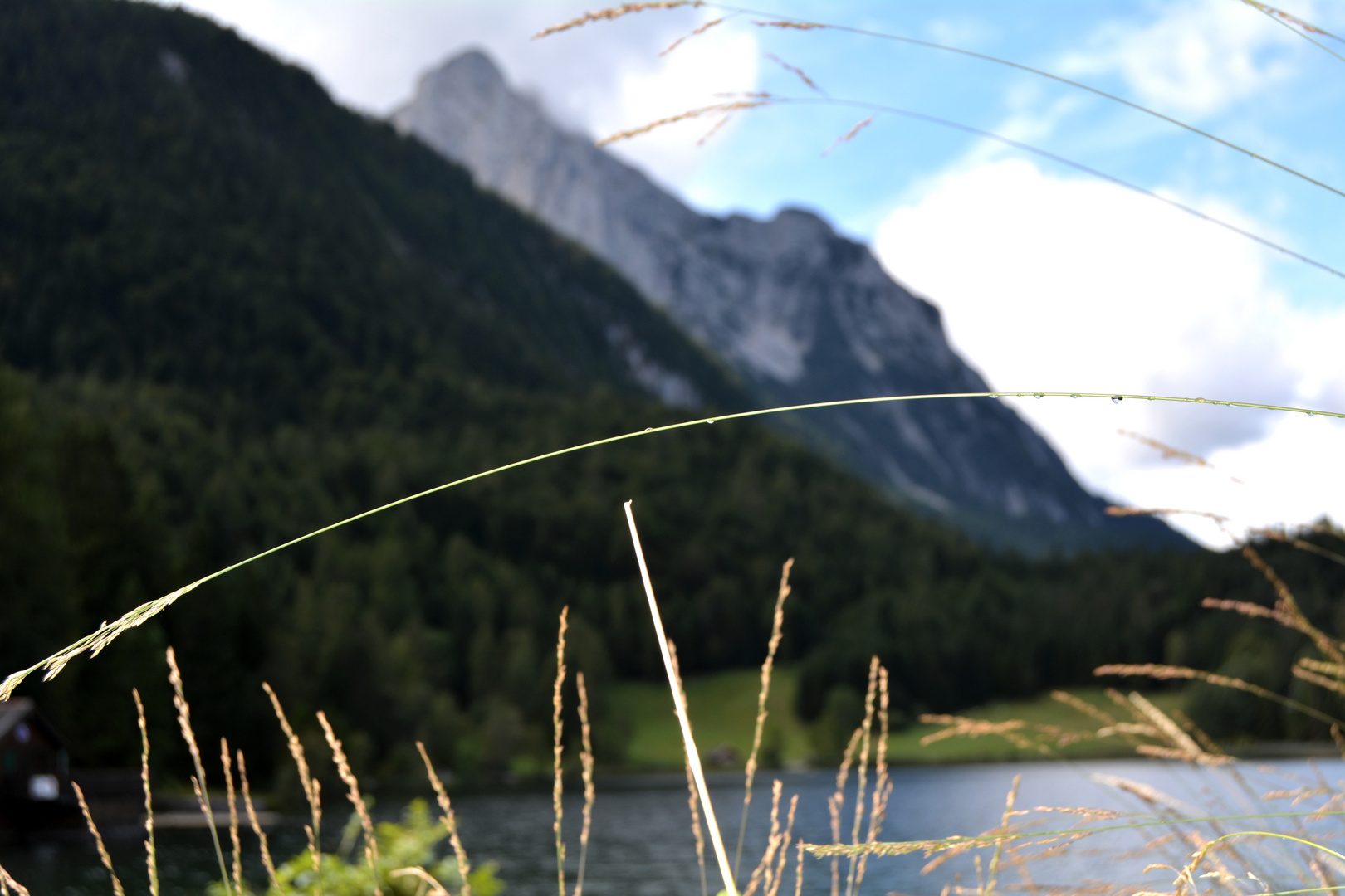 Am Lautersee, Blick zum Wetterstein