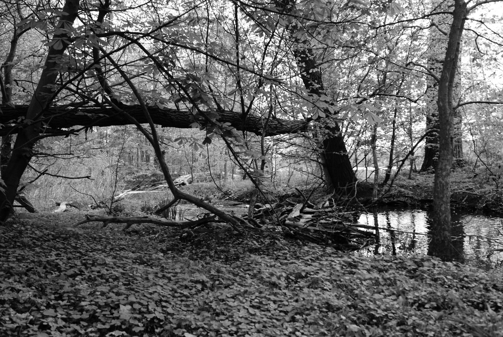 am Lehnitzsee 2