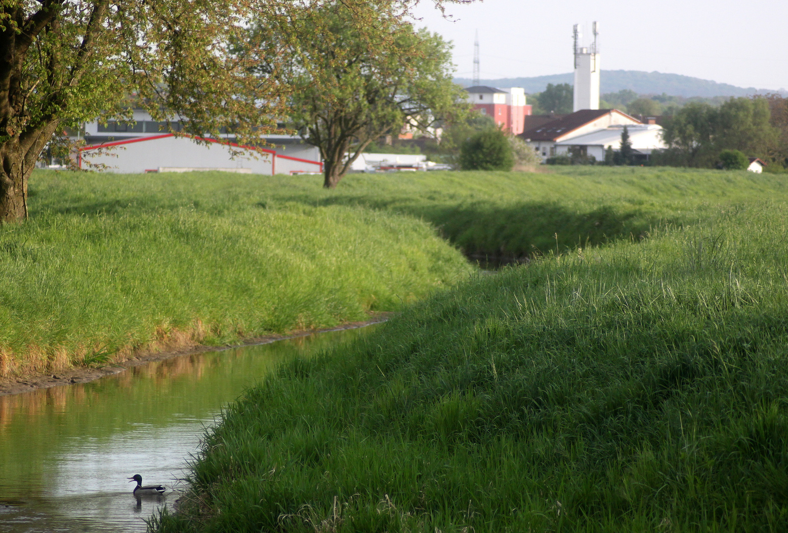 Am Leimbach in Leimen