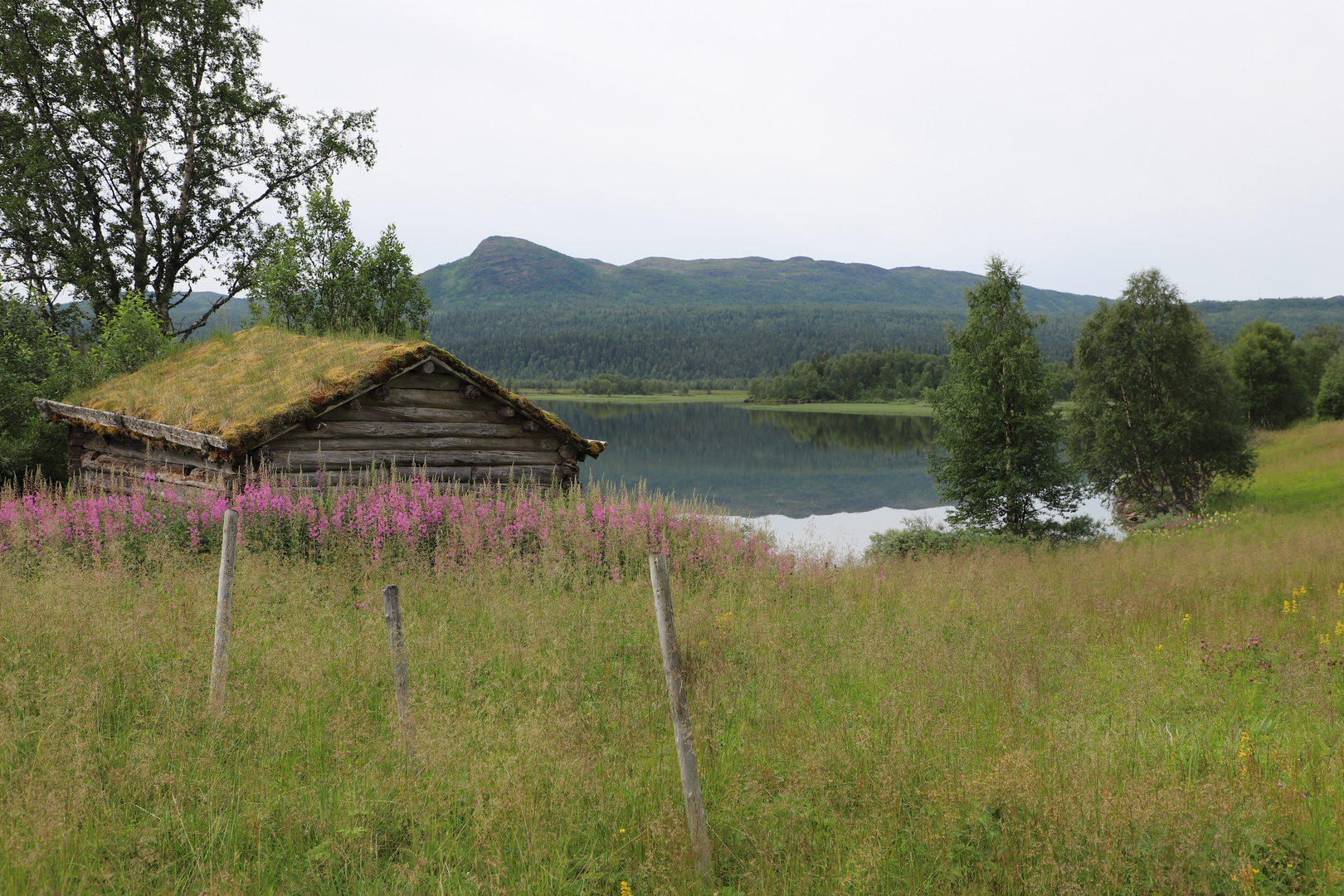 Am Leipikvatnet im Naturschutzgebiet Bjurälven