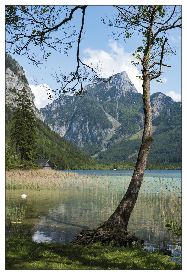 am Leopoldsteinersee