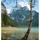 am Leopoldsteinersee