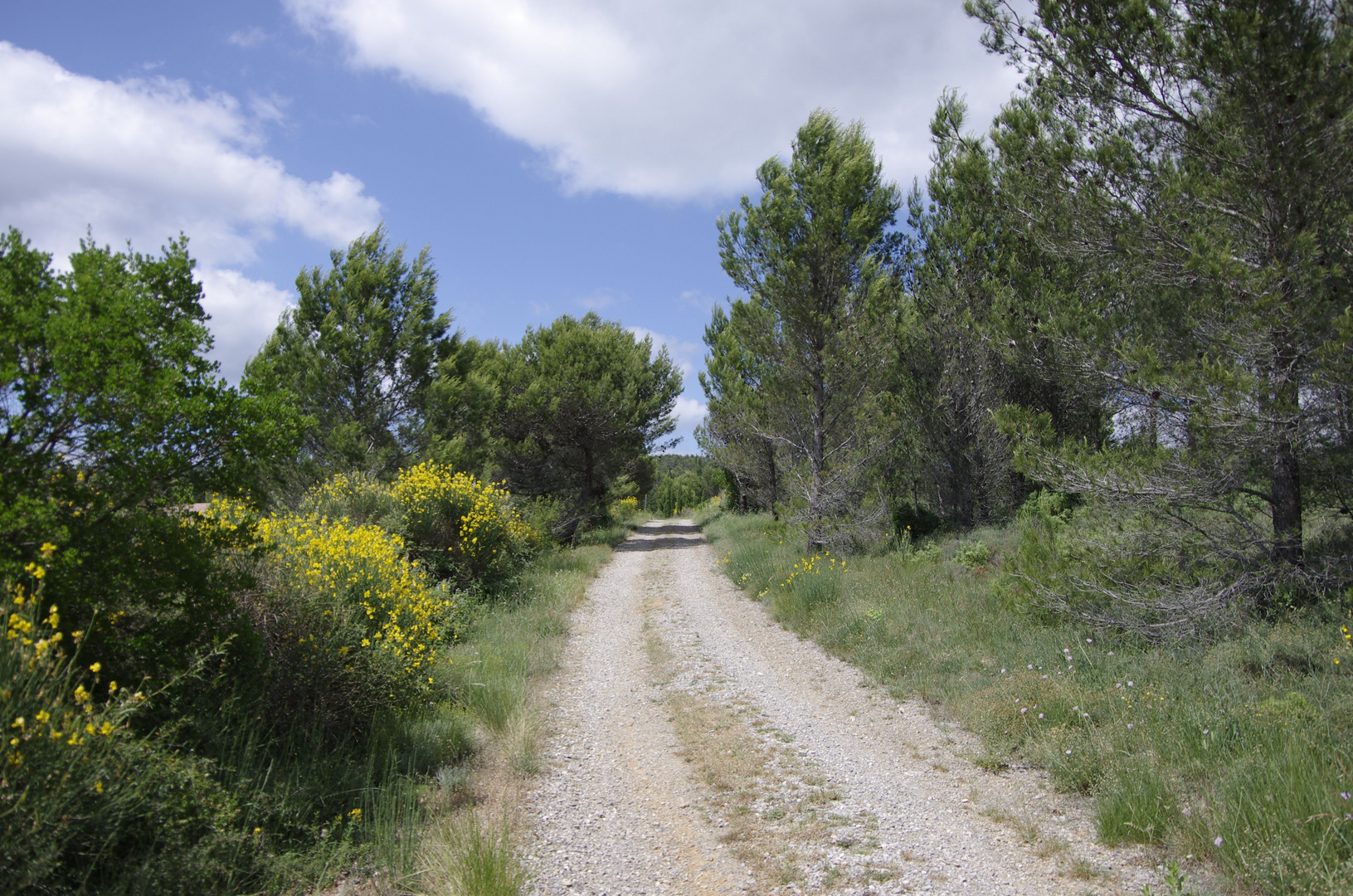 Am letzten Ende im Minervois