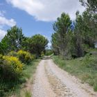 Am letzten Ende im Minervois