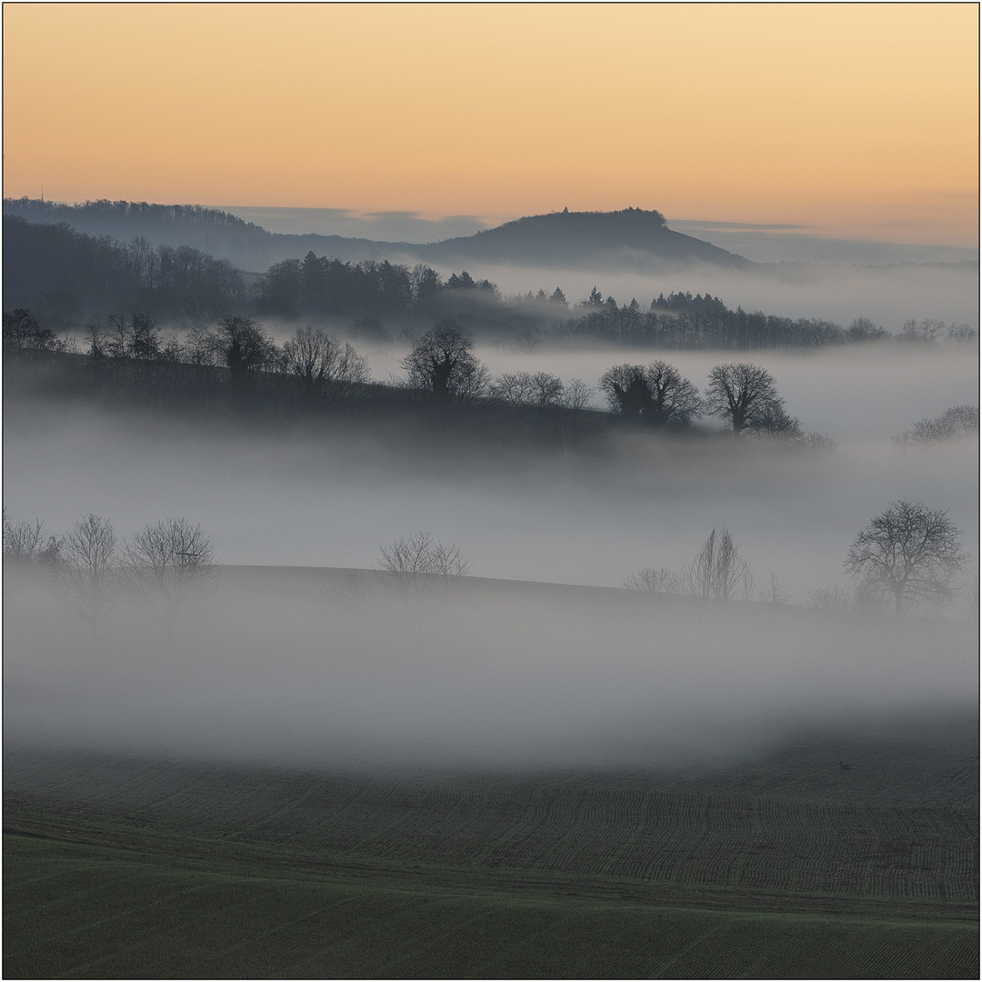 Am letzten frühen Morgen 