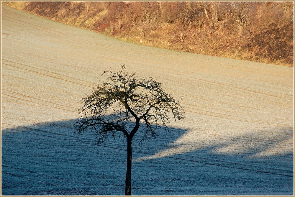 Am letzten Morgen des vorigen Jahres,,, (3)