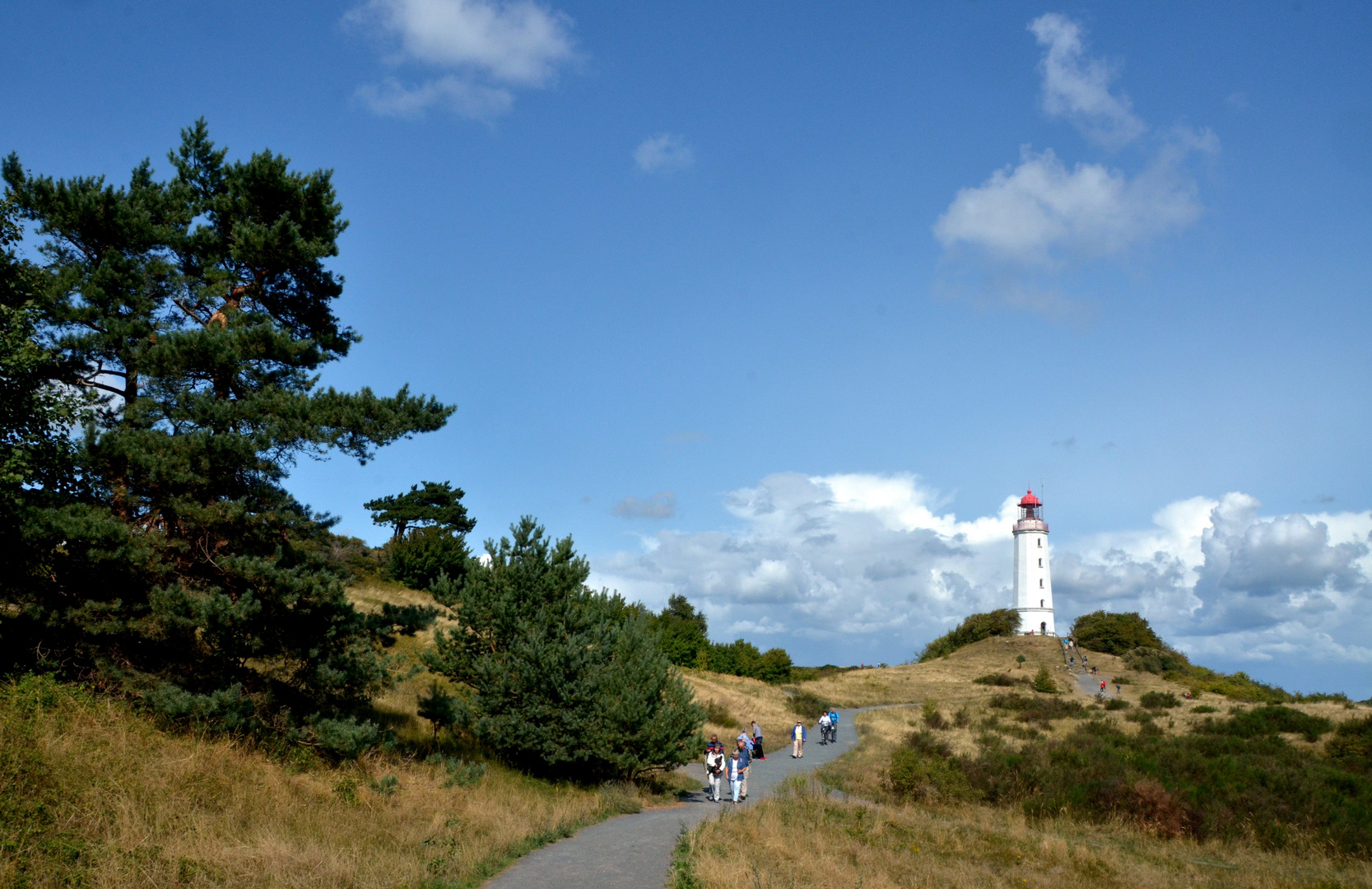 am Leuchtturm Dornbusch