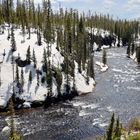 Am Lewis River