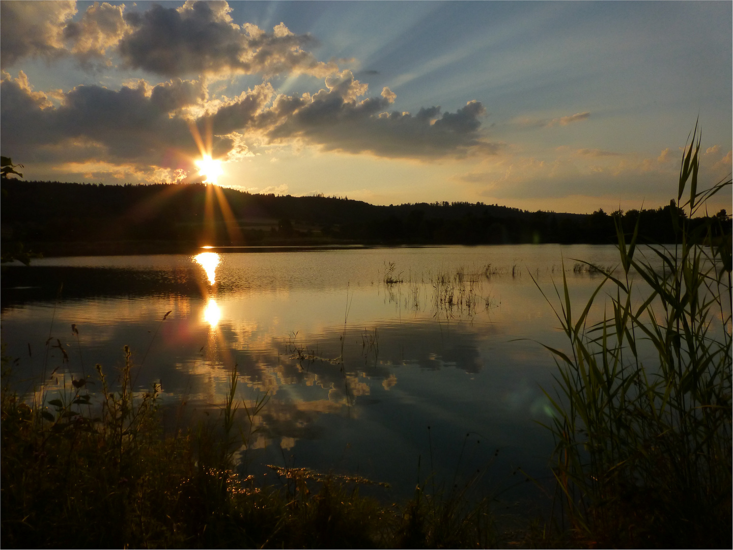 Am Lieblingssee