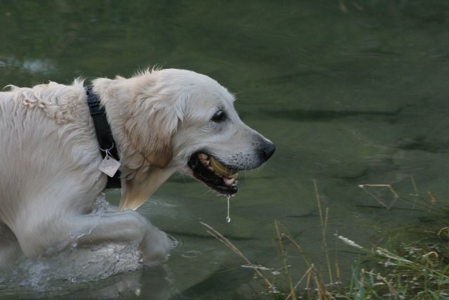 Am liebsten bade ich mit meinem Ball!