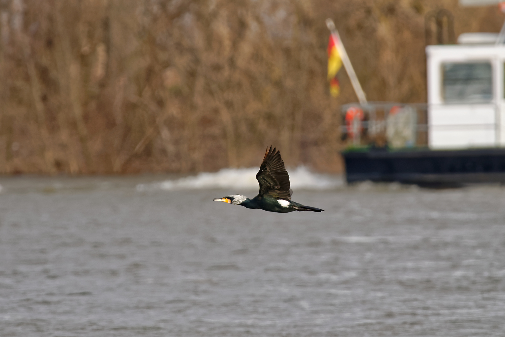 am liebsten fliege ich den Rhein entlang :-)