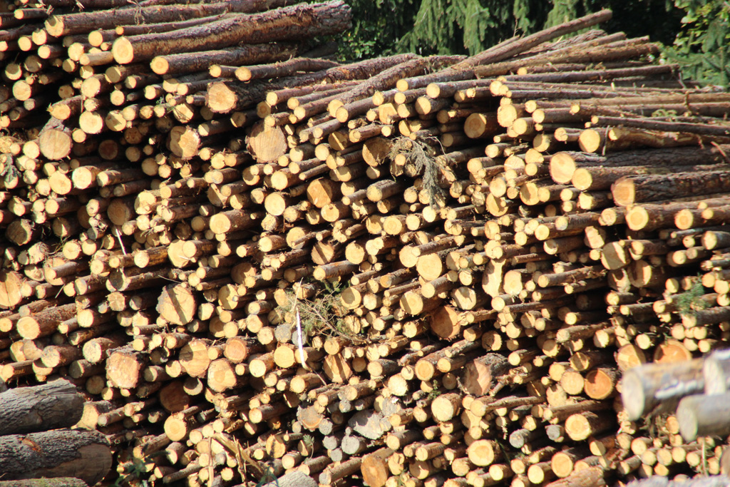  Am Lieneck - Holz beim Sägewerk  