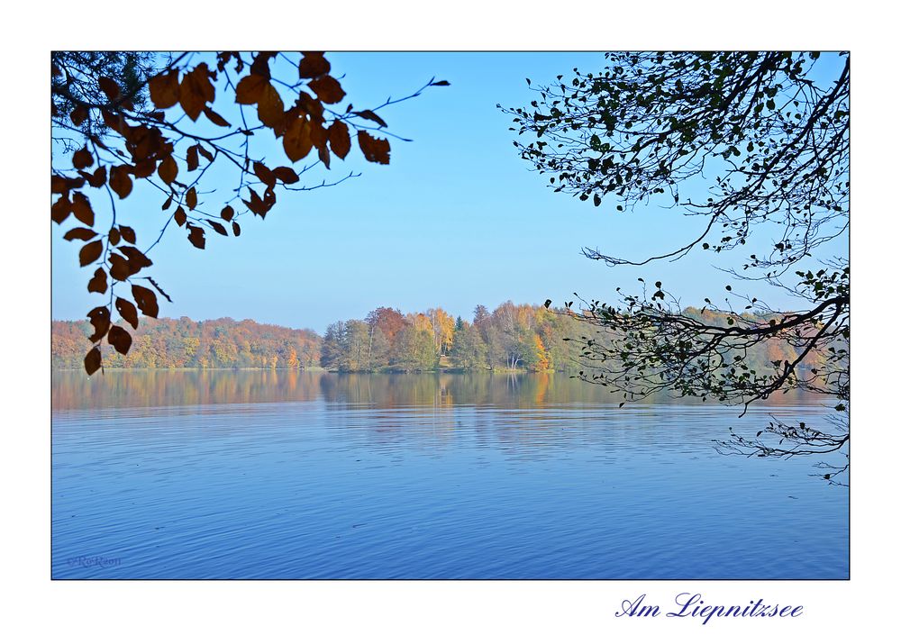 Am Liepnitzsee I