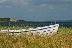 am Limfjord