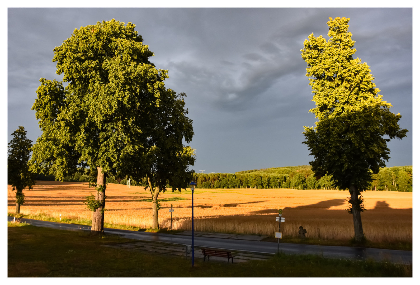 Am Lindenberg