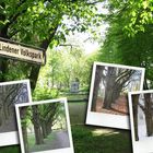 Am Lindener Volkspark