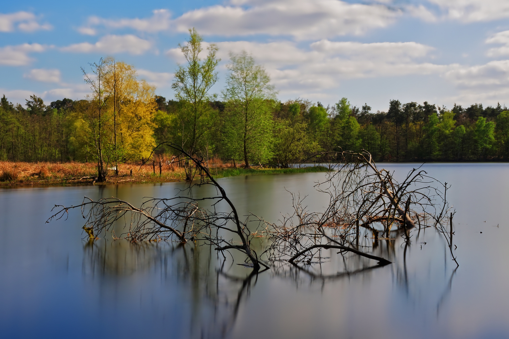 Am Lindensee